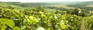 obrázek: 101_0004_methode01b.jpg