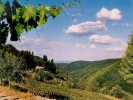 Cepetto