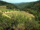 obrázek: 102_0010_p_ceppeto_4.jpg