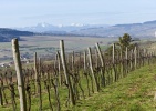 obrázek: 106_0003_80.jpg