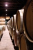 obrázek: 108_0002_large_1a_2_Barriques.jpg