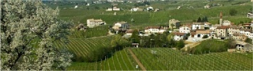 obrázek: 36_0003_Tordera3_1.jpg
