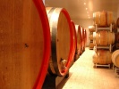 obrázek: 40_0005_cellar1.jpg