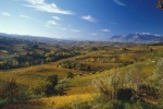 obrázek: 41_0001_Web_Caldora3.jpg
