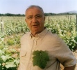 obrázek: 43_0011_Anabilerosidimadelana.jpg