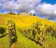 obrázek: 45_0003_0_0042_weingut2.jpg