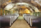 obrázek: 45_0005_0_0044_weingut4.jpg