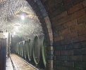 obrázek: 58_0007_0_0079_RC_sklep.jpg