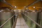 obrázek: 61_0003_0_0005_Naia_bodega1.jpg
