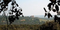obrázek: 64_0001_0_0016_montelareina.jpg