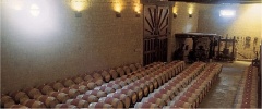 obrázek: 65_0003_0_0019_Vicente3.jpg