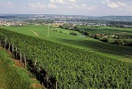 obrázek: 87_0002_14_0002_ort.jpg