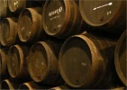 obrázek: 97_0002_domecq2.jpg